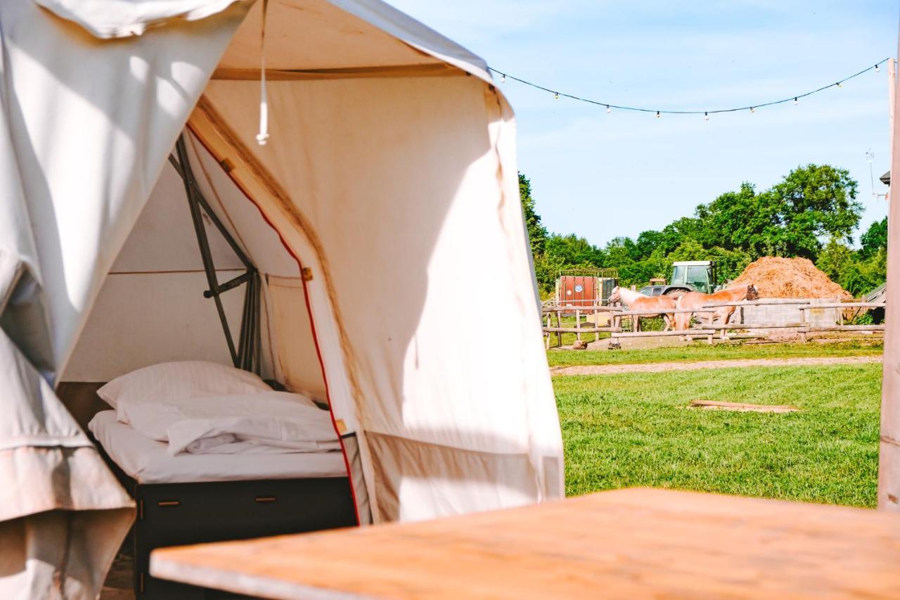 Domo Camp - Nature Glamping Hof Viehbrook Hotell Rendswuhren Exteriör bild
