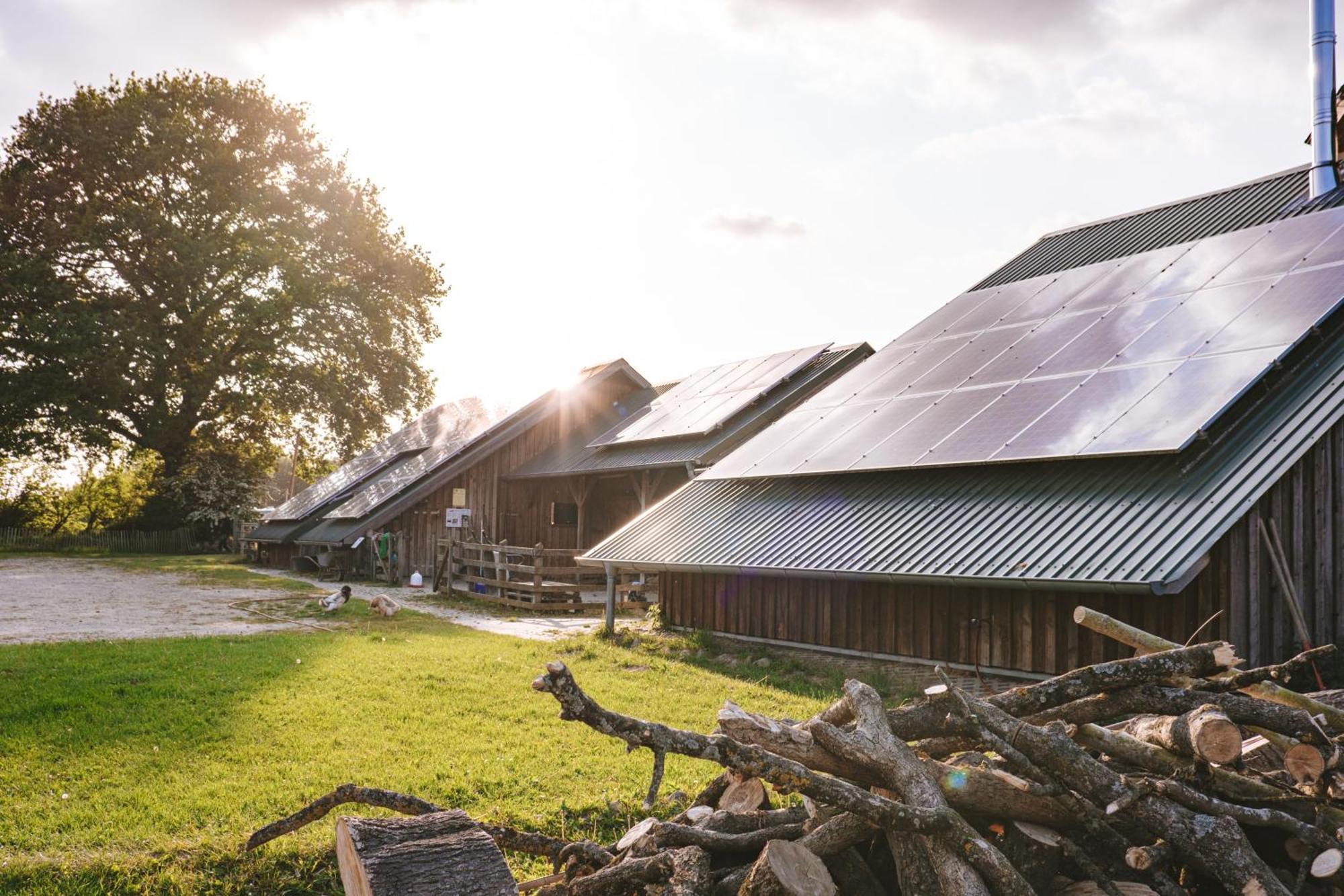 Domo Camp - Nature Glamping Hof Viehbrook Hotell Rendswuhren Exteriör bild
