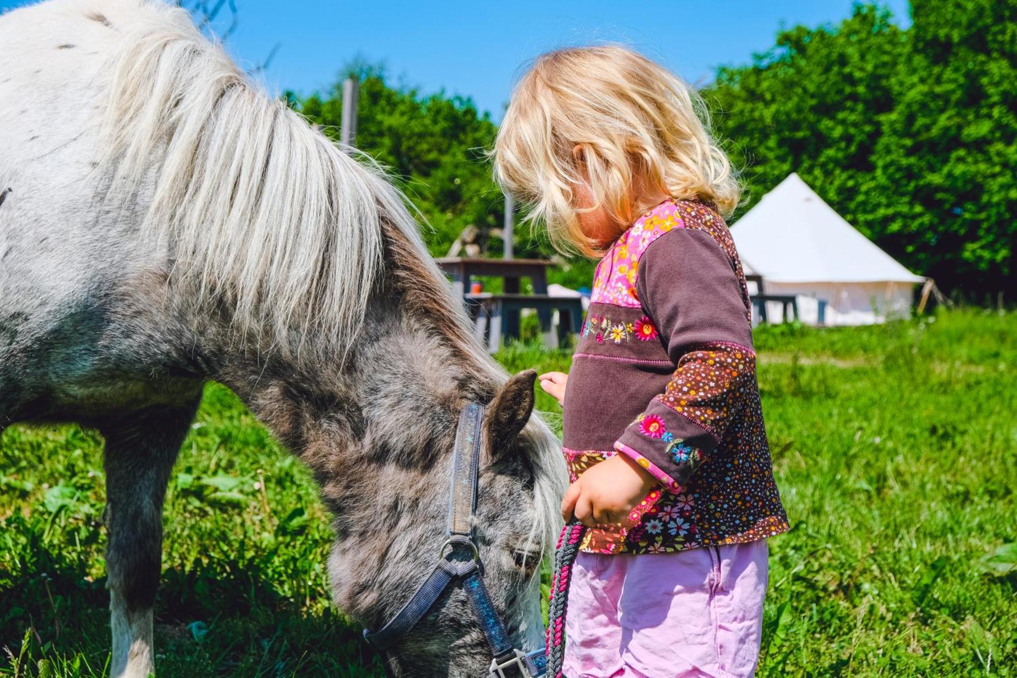 Domo Camp - Nature Glamping Hof Viehbrook Hotell Rendswuhren Exteriör bild