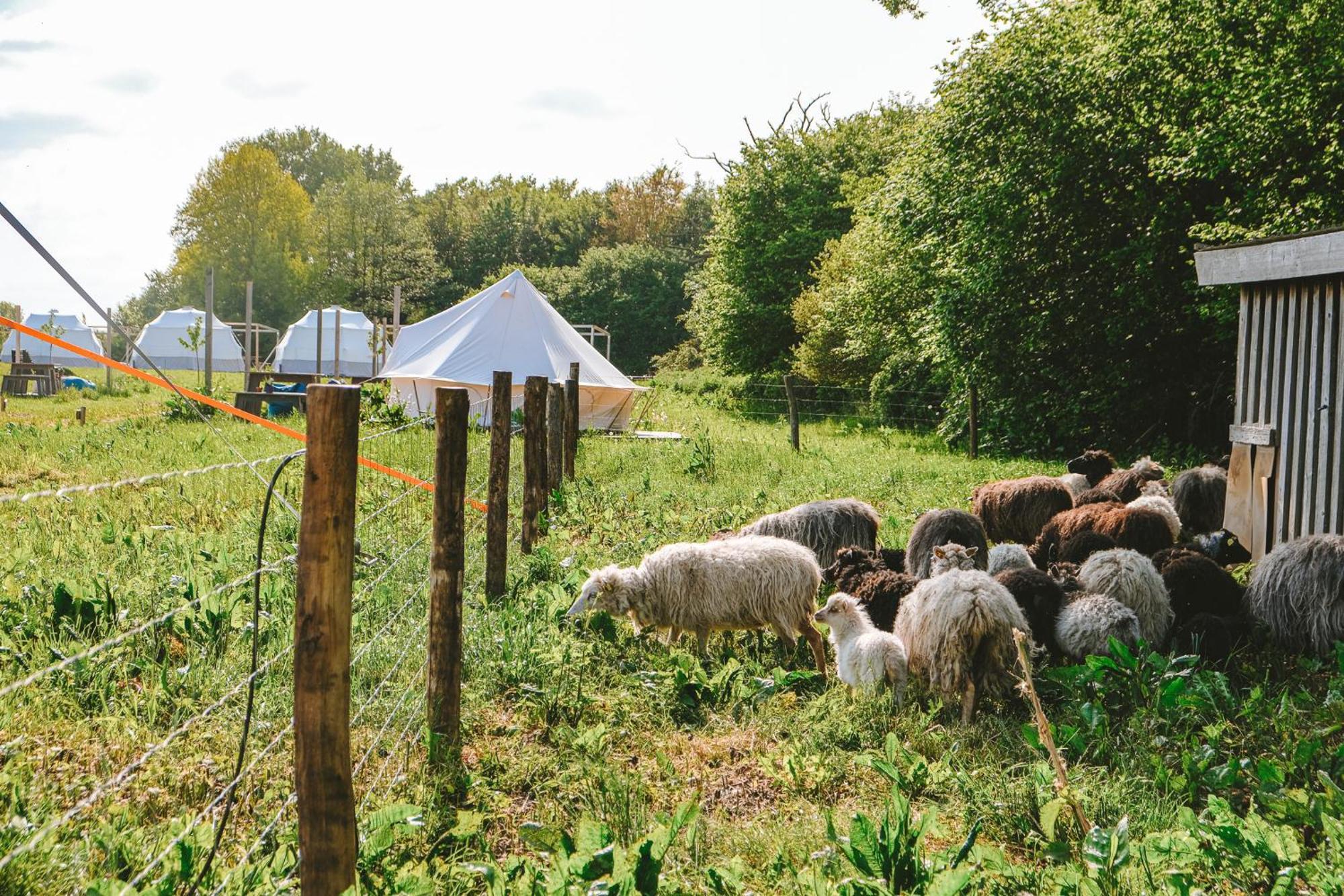 Domo Camp - Nature Glamping Hof Viehbrook Hotell Rendswuhren Exteriör bild